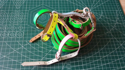 Leather ferret style - 2,
