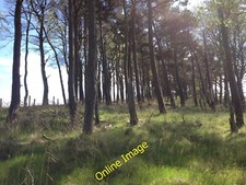 Photo 12x8 Arable crops