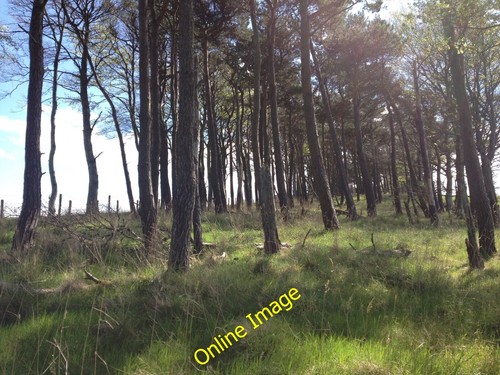 Photo 12x8 arable crops - 12x8,