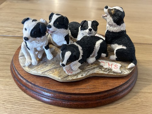 Border fine art collie - -, pups