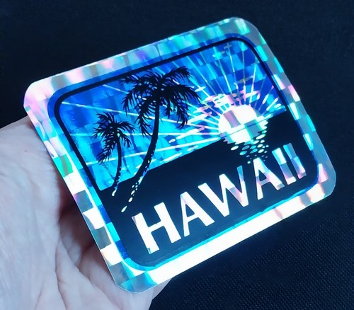 Hawaii silhouette surf prism - silhouette,