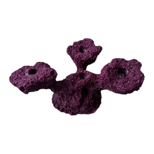 Sandbed hole tripod coral - hole,
