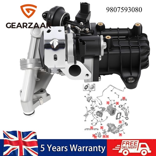 Egr valve module cooler - valve, for