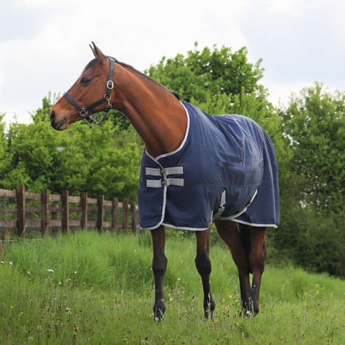 Equestrian country horse - country,