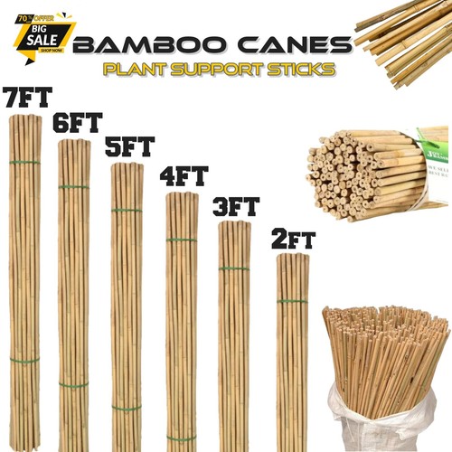 Bamboo garden canes strong - garden,