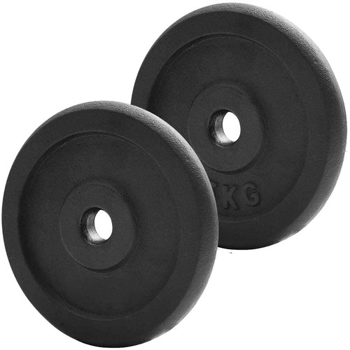 Cast iron weight plates 1 - plates,