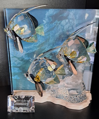 Swarovski scs wonders - of, the