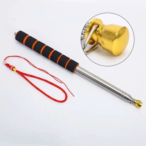 Telescopic flag pole - flag,
