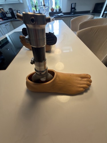Prosthetic foot ankle assembly - ankle,