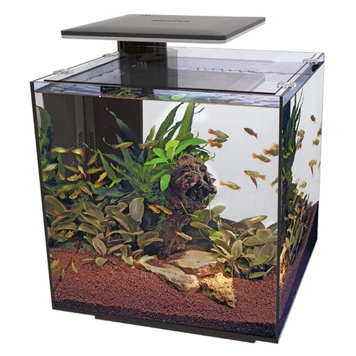 Superfish qubiq pro led - qubiq,