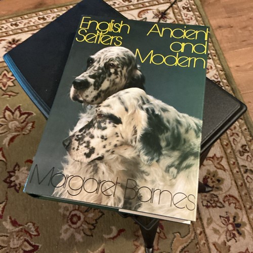 English setters ancient and - setters,