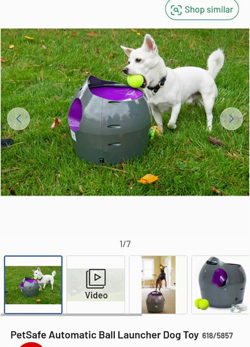 Petsafe automatic ball - automatic,