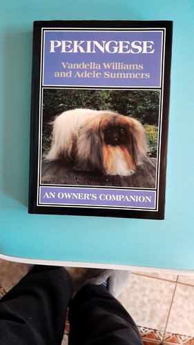 Pekingese owner companion - pekingese,