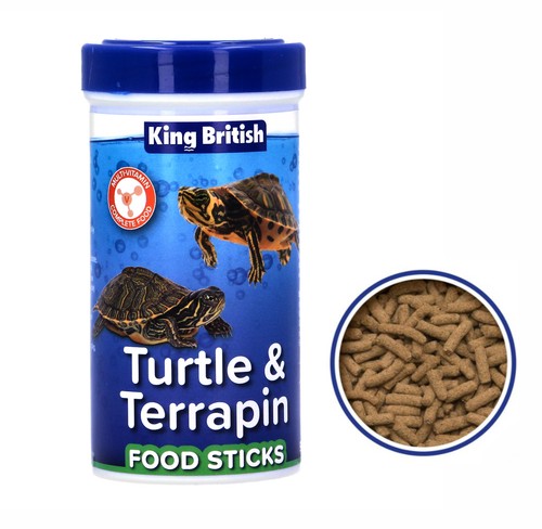King british turtle - king,