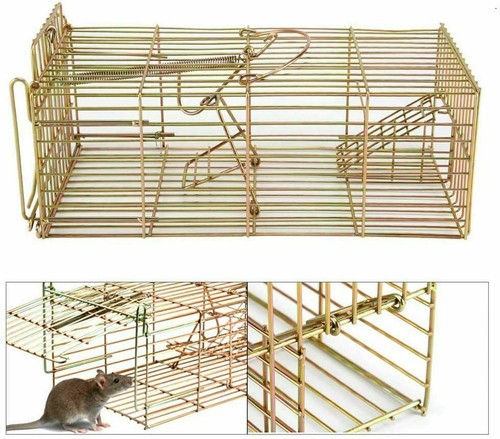 Rat trap squirrel - trap, duty