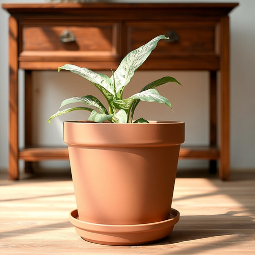 Terracotta flower pot planter - terracotta,