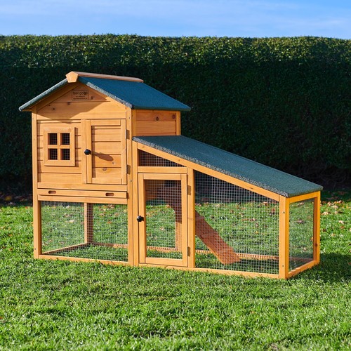Rabbit hutch guinea - hutch,