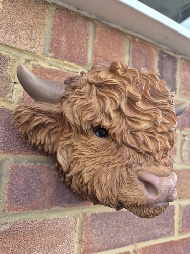 Highland cow planter - highland,