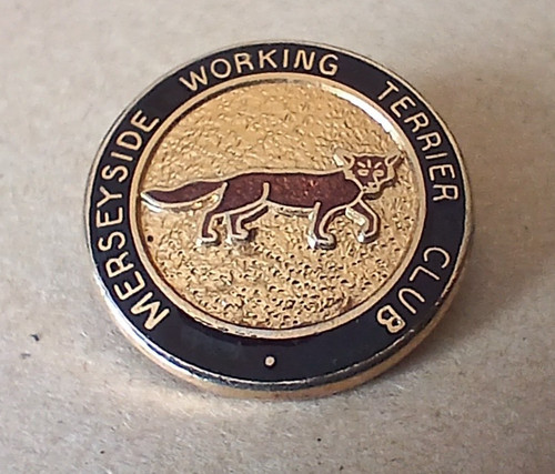 Mersetside working terrier - working,