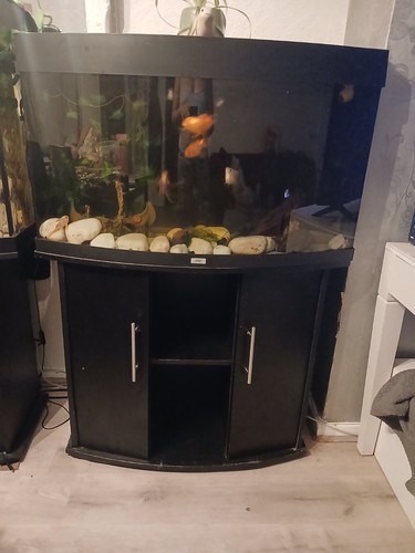 Jewel fish tank and - fish,