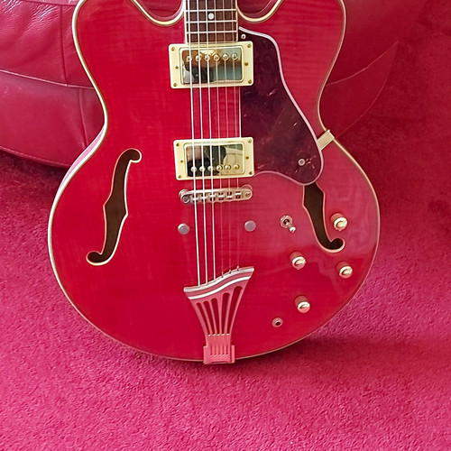 Gould semi hollow electric - gould,