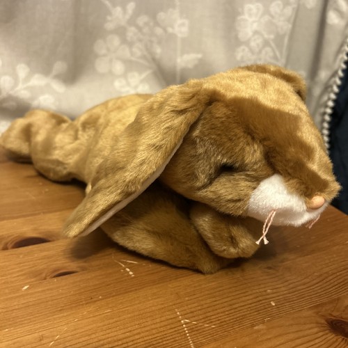 2000 beanie buddies - ty,