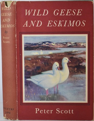 Wild geese eskimos peter - wild,