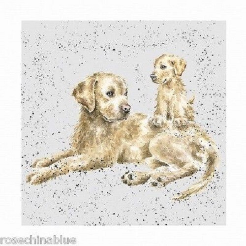 Wrendale card labrador - wrendale,