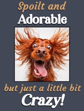 Red Irish Setter Dog Funny Gift Keep Calm Crazy Dog cute pet Fridge Magnet