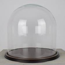 Glass Dome Display Cloche Jar