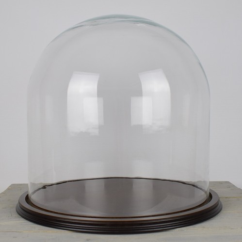 Glass dome display cloche jar - display,