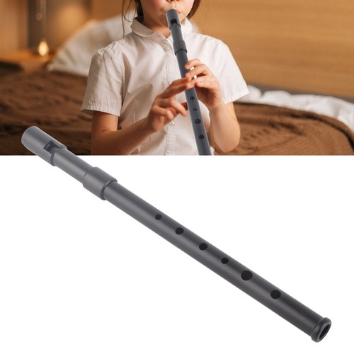 Tin irish whistle accurate - d,