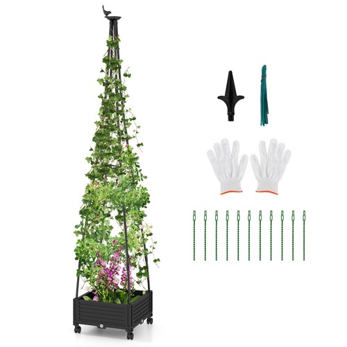 Tall plant support - plant, 81