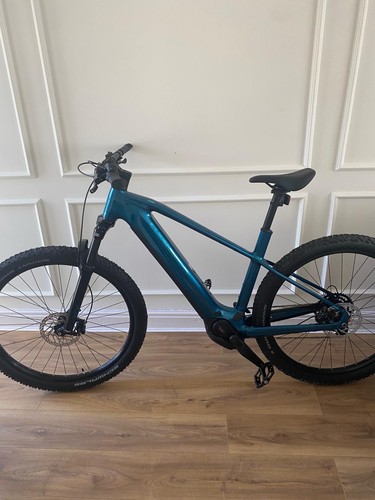 Electric mountain bike men - mountain,