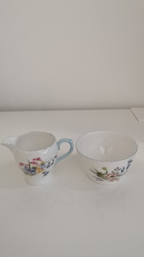 Shelley fine bone china - shelley, wild