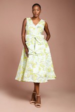 Coast Green Fit & Flare Dress