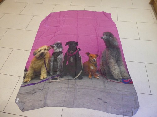 Paul smith dog print - dog, scarf