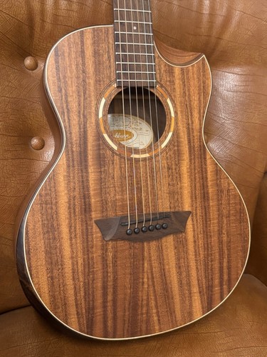 Washburn mini koa - g-mini,