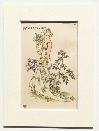 Rose flower walter crane - flower,