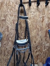 English Double Bridle, Rugby