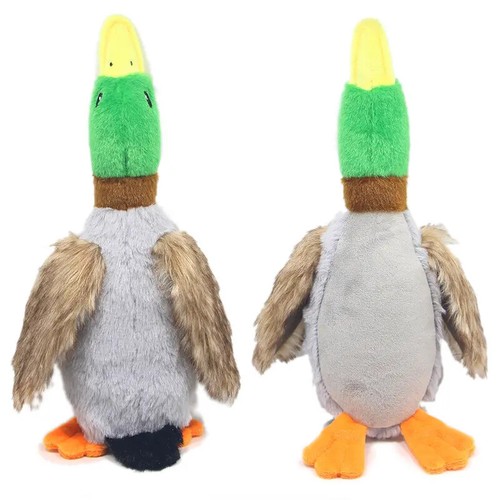 Pet dog puppy mallard - dog, duck
