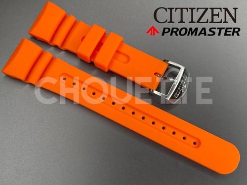 Oem citizen promaster - oem, aqualand