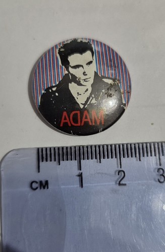 Adam the ants - adam, ants/