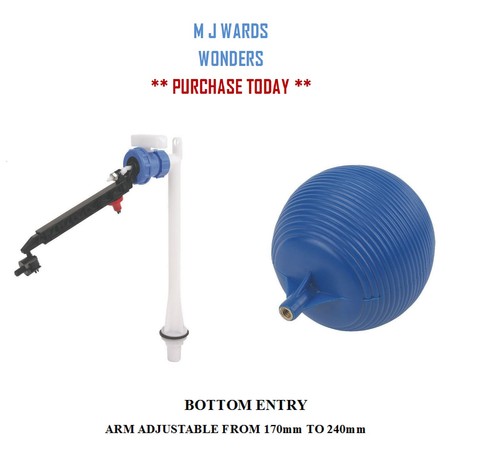 Bottom entry toilet - bottom,
