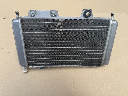 Genuine piaggio water radiator - genuine,