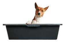 Medium Large XLarge Multi