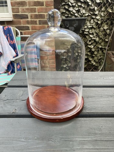 Large round glass dome cloche - dome,