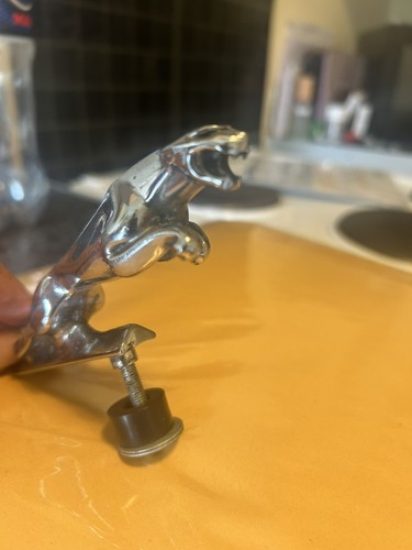 Jaguar leaping cat - leaping,
