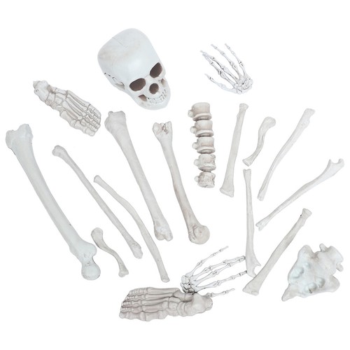Simulated skull model - simulated,