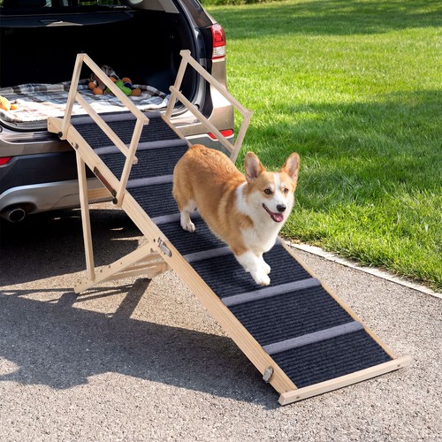 Level foldable dog ramp - dog, with